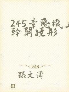 245章飞机上干关晓彤