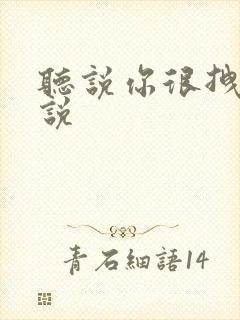 听说你很拽啊小说