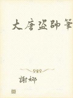 大唐盗帅笔趣阁