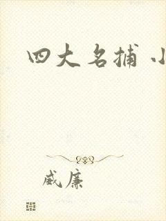 四大名捕 小说