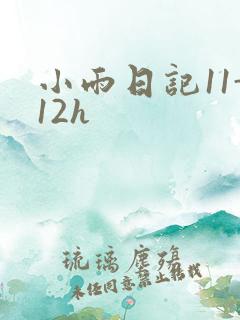小雨日记11-12h