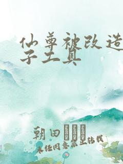 仙尊被改造成产子工具