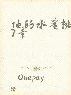他的水蜜桃第27章