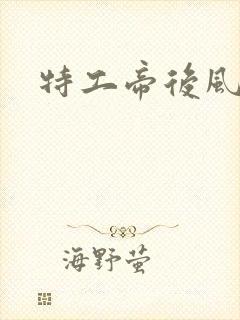 特工帝后风九少