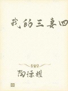我的三妻四妾