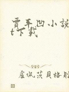 贾平凹小说txt下载