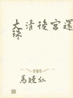 大清后宫还君明珠