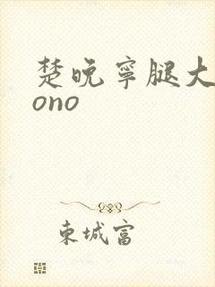 楚晚宁腿大张mono