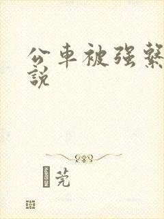 公车被强系列小说