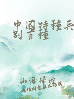 中国特种兵之特别有种