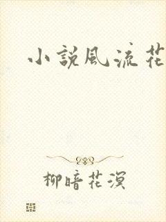 小说风流花少