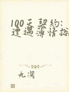 100天契约:遭遇薄情总裁