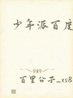 少年派百度百科