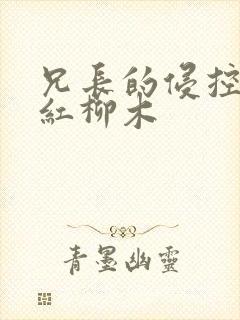 兄长的侵控by红柳木