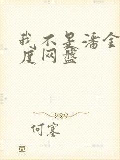我不是潘金莲百度网盘
