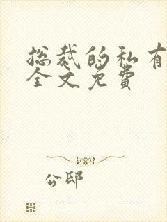 总裁的私有宝贝全文免费