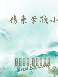 杨东李欣小说