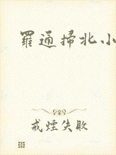 罗通扫北小说