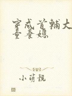 穿成首辅大人的童养媳