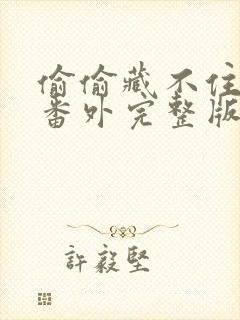 偷偷藏不住新婚番外完整版