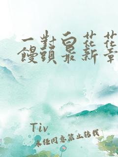 一对白花花的大馒头最新章节