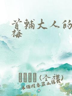 首辅大人的小青梅