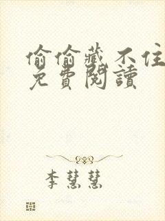 偷偷藏不住小说免费阅读