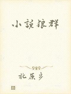 小说狼群