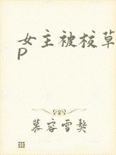 女主被校草们NP