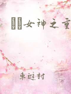 鹡鸰女神之重生