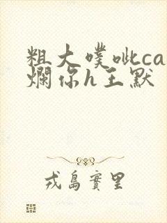 粗大噗呲cao烂你h王默