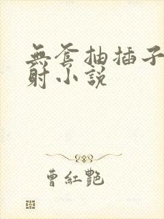 无套抽插子宫内射小说