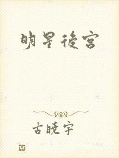 明星后宫