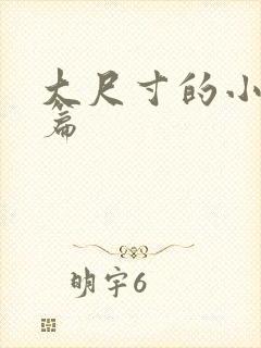 大尺寸的小说短篇