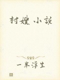村嫂 小说