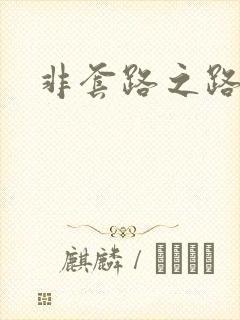 非套路之路