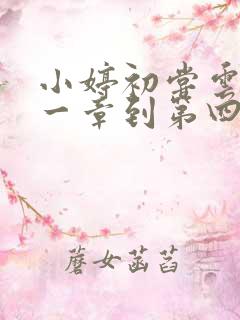 小婷初尝云雨第一章到第四章