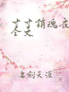 寸寸销魂夜春光全文