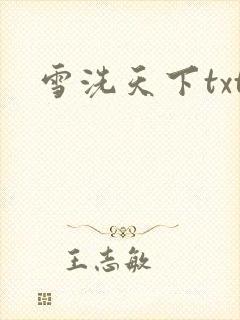 雪洗天下txt