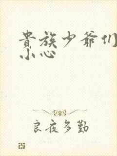 贵族少爷们 请小心