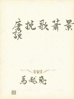 唐挽歌萧景弦小说