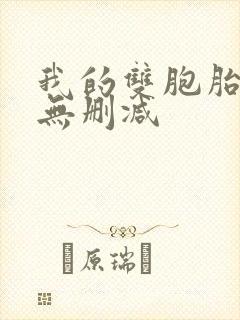 我的双胞胎老婆无删减