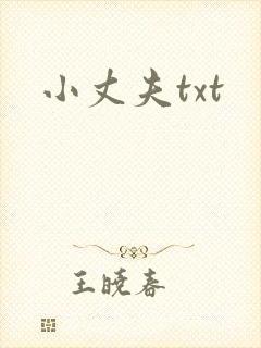 小丈夫txt