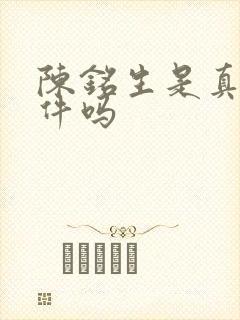 陈铭生是真实事件吗