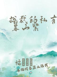 总裁的私有宝贝 暮山紫