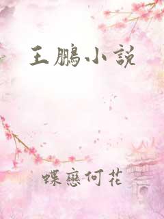 王鹏小说