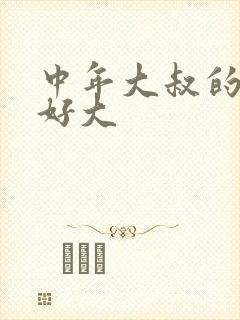 中年大叔的包包好大