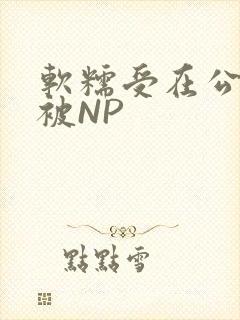 软糯受在公交车被NP