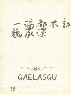 一滴都不许漏 魏承泽