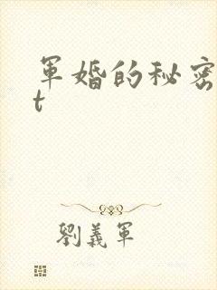军婚的秘密txt